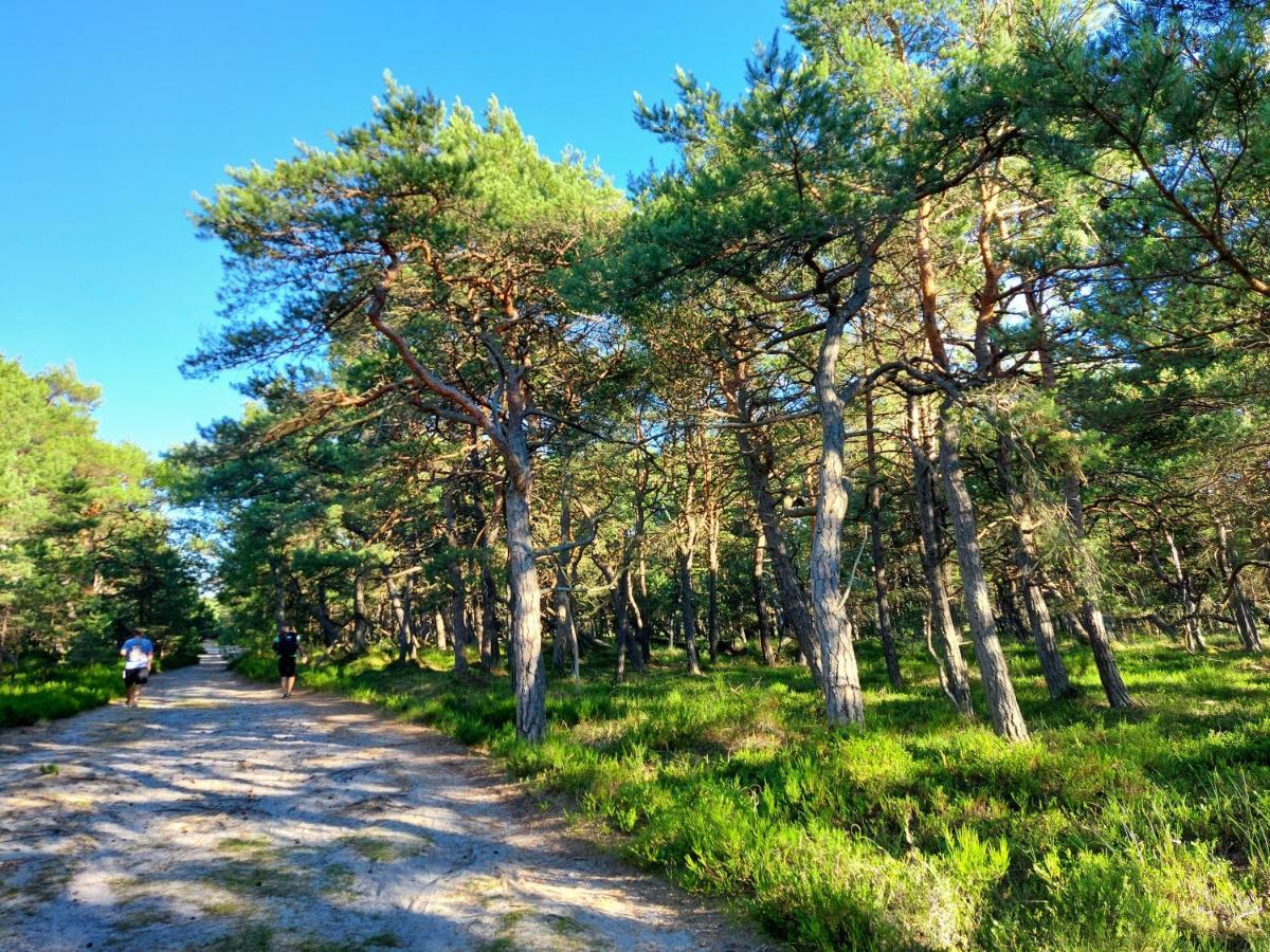 Greyowka Dom Kryty Strzecha W Gardna Park Villa Czysta Kültér fotó